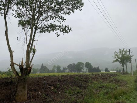 Düzce Gümüşova Yeşilyayla Köyün'de İmarlı, Yola Cephe Arsa