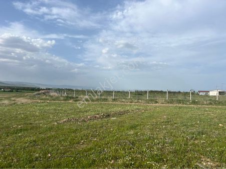 Havaalanı Yolunda Satılık 48 Dönüm Arsa