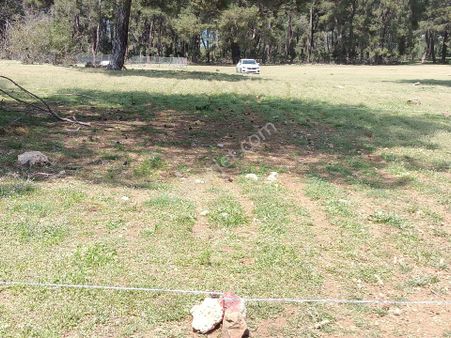 Döşemealtında Sakin Ve Huzurlu Yaşam Alanı