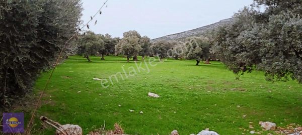 Kuşadası Bahçecik Boğazında Satılık İmar İçinde Arazi