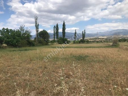 Grand Egelim Emlaktan Satılık Fırsat Tarım Arazisi