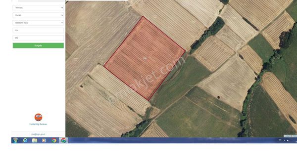 Tekirdağ Muratlı Rota Emlak Balabanlı De Satılık Uygun Tarla