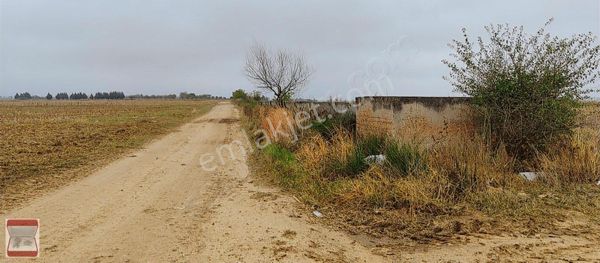 Kavaklı Merkeze Yakın İmara Sınır Satılık Tarla