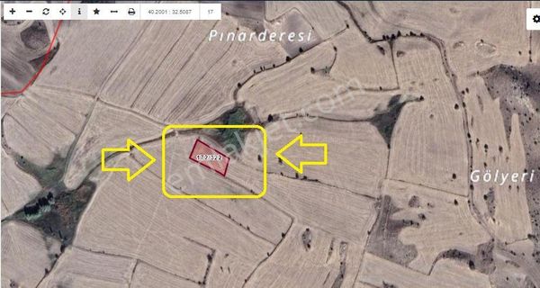 Ayaş Evci De 2 Dönüm Tek Tapu Tarla Karadeniz Emlaktan