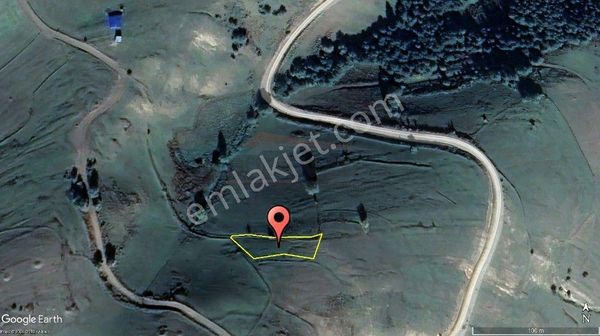 Samsun Alaçam Yoğunpelit Köyün'de Tek Tapu 564 M' Satılık