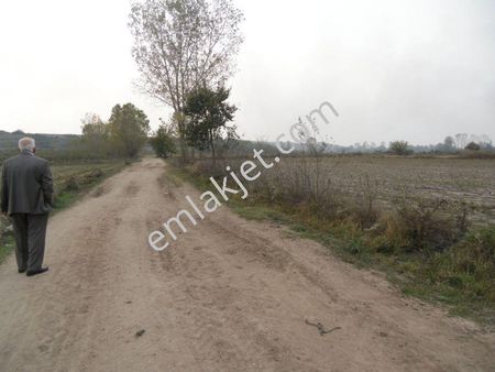 Edirne Havsa Tahal Köyünde Satılık Tarla