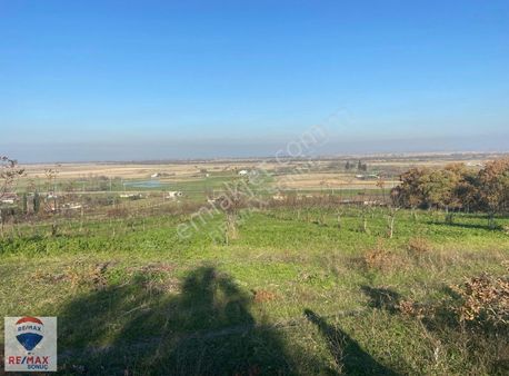 Balıkesir Manyas Bölceağaç Köyü 628 Parsel 7200m2 Satılık Tarla