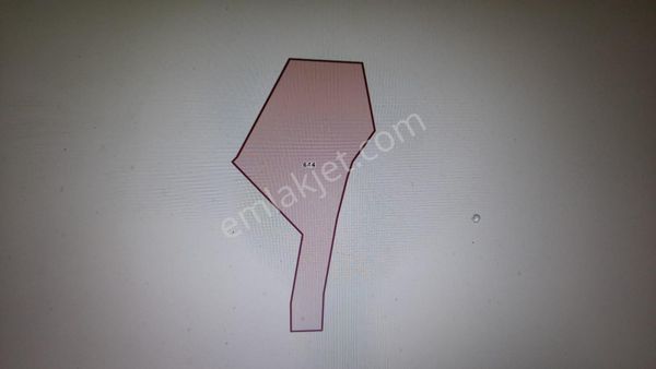 Deniz Gayrimenkul Den Satılık Yatırırma Uygun Tarla