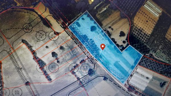 İmara Sıfır Satılık Tarla Deniz Gayrimenkul,den