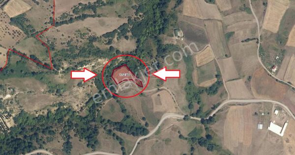 Kocaeli Karamürsel Kızderbent Mahallesi Satılık 3806 M2 Tarla