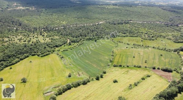 Çanakkale Bayramiç Muratlar Köyü Doğanın İçinde 27.200m2 Tarla