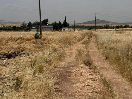 Hanedan Gyo' Dan Töreli' De Yol Üstü Satılık Fıstıklık