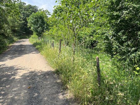 İçerisinde Ceviz Ağaçları Olan İmarlı Ve Ana Yola Cepheli Bahçe