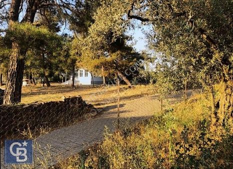 Menteşe Çaybükü'nde Muhteşem Arazi Ve Evleri Ltf Açklmy Okuyun.