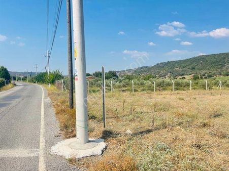 206-seferihisar Kavakderede Asfalt Cepheli Tarla