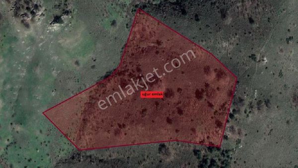 207-seferihisar Kavakderede Yatırımlık Arazi