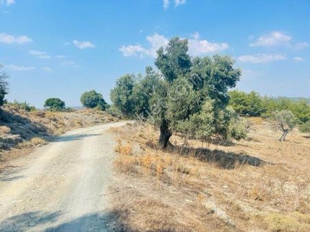 215-ulaşımı Kolay İşlenebilir Arazi