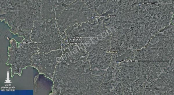 221- Seferhisar Merkeze Yakın Zeytinlik