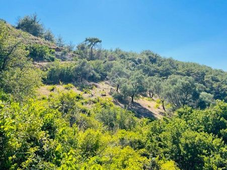 223- Gödencede Ulaşımı Kolay Arazi