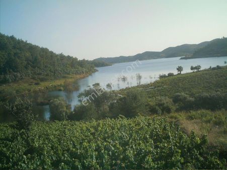 410-asfalt İle Baraj Arasında Bağ İçin Uygun Arazi