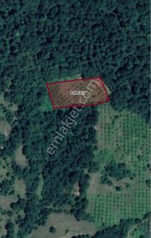 Kocaeli Kandıra Eğercili Satılık 2380 M2 Tarla