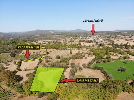 Çanakkale Bayramiç Zeytinli Köyünde Satılık Hobi Bahçesi