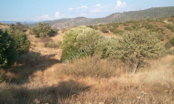 502-her Türlü Düşünceye Uygun Tarım İçin Elverişli Arazi