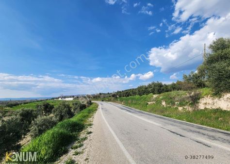 Denizli Pamukkale Akköy Ana Yolda 10950 M2 Yatırımlık Zeytinlik