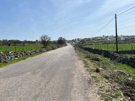 Yunusemre Seyitli Mah Asvalt Dibinde 9700m2 Satılık Yatırımlık Mükemmel Bi Yer Takas Var