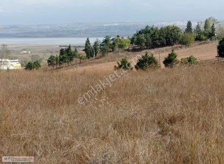 İstanbul Büyükçekmece De Satılık 8375 M2 Villa Arsası