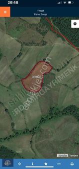 Mustafakemalpaşa Paşalar'da Satılık Tarla