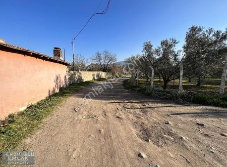 Terzioglundan Havranda Satılık 3310 Metre Ciftlik Evi