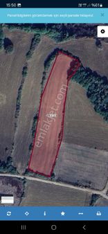 Yalova Altınova'nın Gozde Koyu Fevzıyede Satılık Tarla