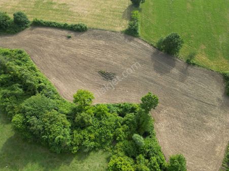 Yalova Altınova Fevzıyede Satılık Tarla