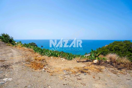 Alanya Uğrak’da Denize Sıfır 1.304 M² Tarla