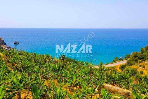 Alanya Uğrak’da Denize Sıfır 631 M² Tarla