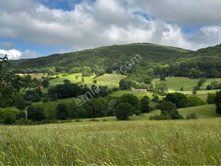 Balıkesir Gönen Fındıklı’da Müstakil Tapulu Tarla