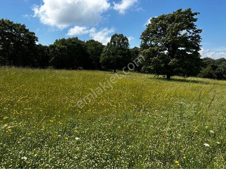 Balıkesir Gönen Fındıklı’da 18.700m2 Satılık Tarla