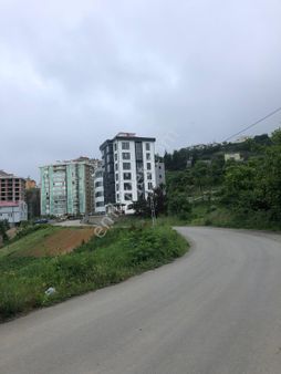 Trabzon Beşirli Satılık Konut İmarlı Arsa Hissesi