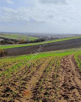 Ergene Pınarbaşı Tek Tapu Tarla 2.846 M2