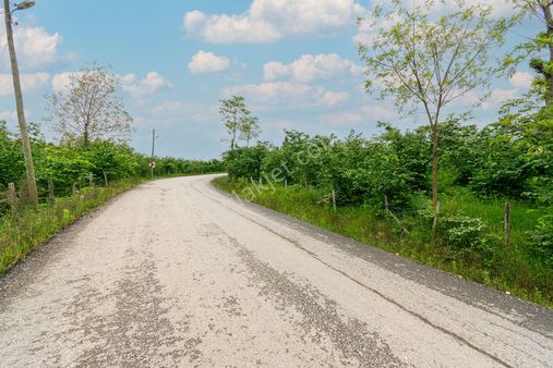 Ordu Oremlak Kökenli Mah. 3214,15m² Satılık Müstakil Parsel Fındık Bahçesi