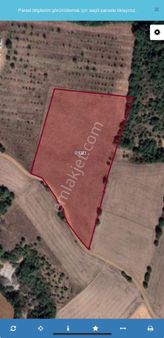 Bursa Yenişehir Selimiye Mahallesi Mevki Çimen Aldı