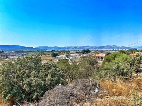 Milas Meşelikte Satılık İmarlı Arsa