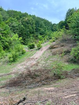 Yola Sıfır Çok Güzel Tarla