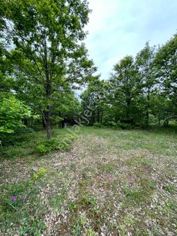 5600 M2 Kelepir Arazi - %50 Peşinat Geri Kalan 12 Ay Taksit