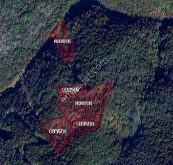 24 Dönüm Çok Güzel Arsalar