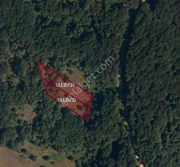 1.5 Dönüm Yatırımlık Tarla