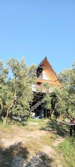 Satılık Mudanya Trilye Muhteşem Zeytinlik