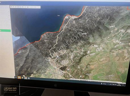 Balıkesir Bandırma Edincikte Satılık Zeytinlik