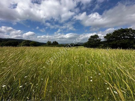 Balıkesir Gönen Fındıklı ‘da Mirastan Satılık Tarla